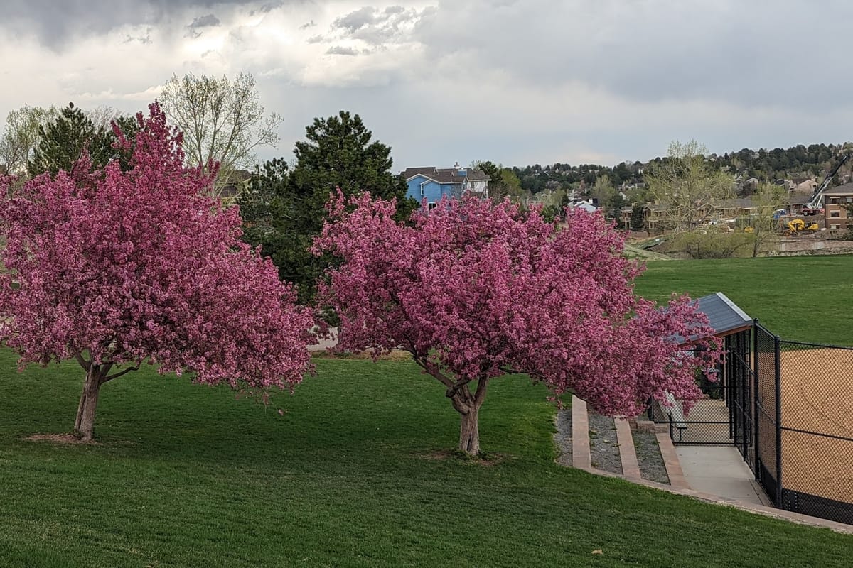 Toepfer Park dining area