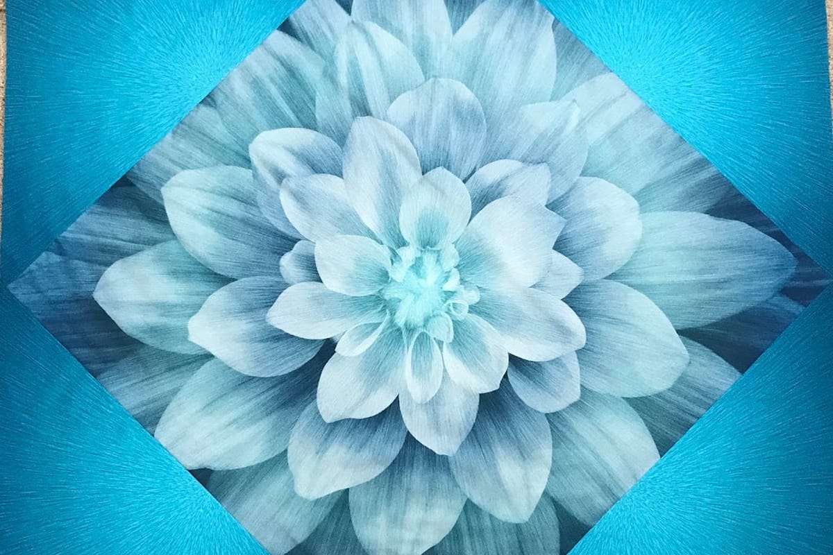 A Quilter's Choice featured offerings