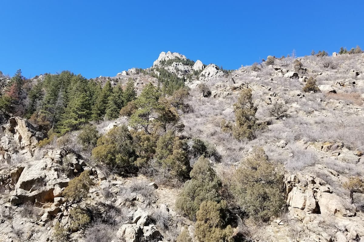 Waterton Canyon featured offerings