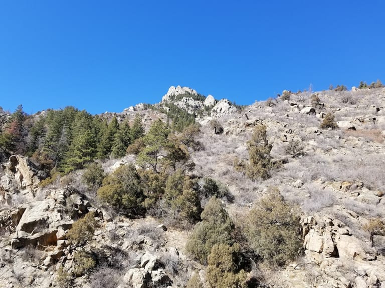Waterton Canyon featured offerings