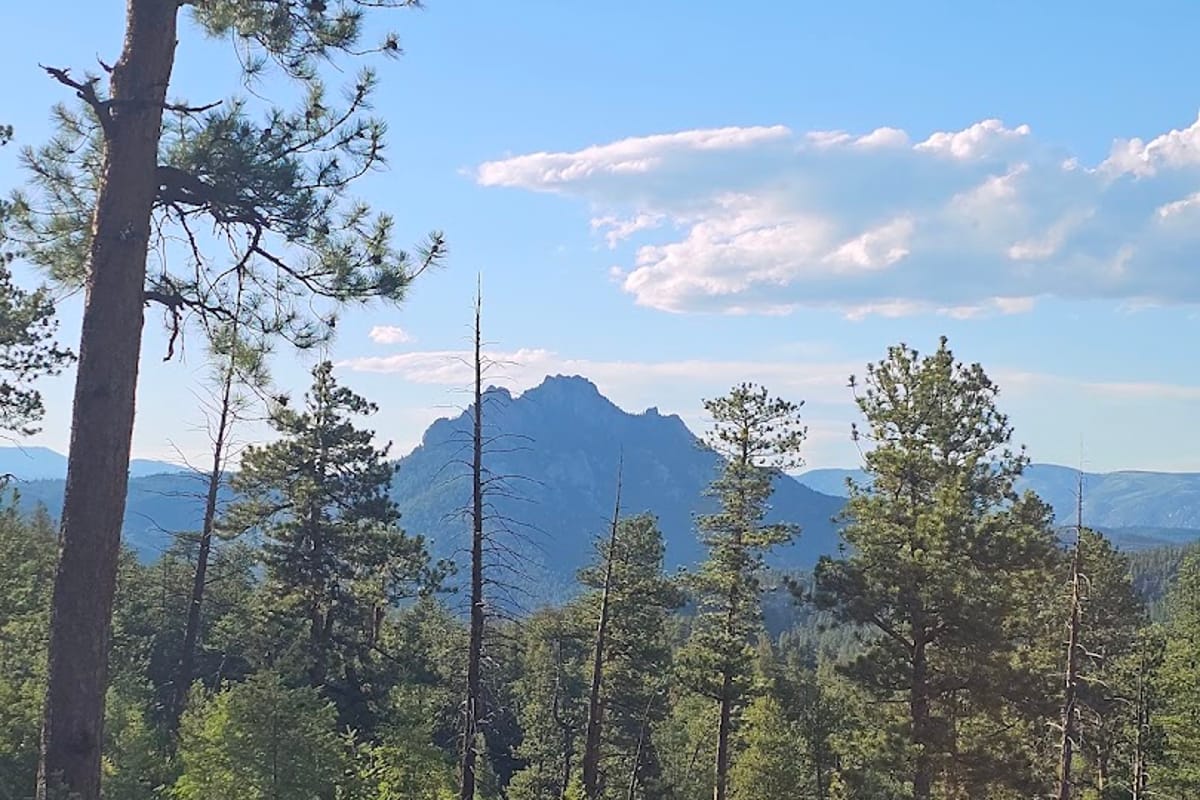 Interior view of Sugar Creek Lower Trailhead