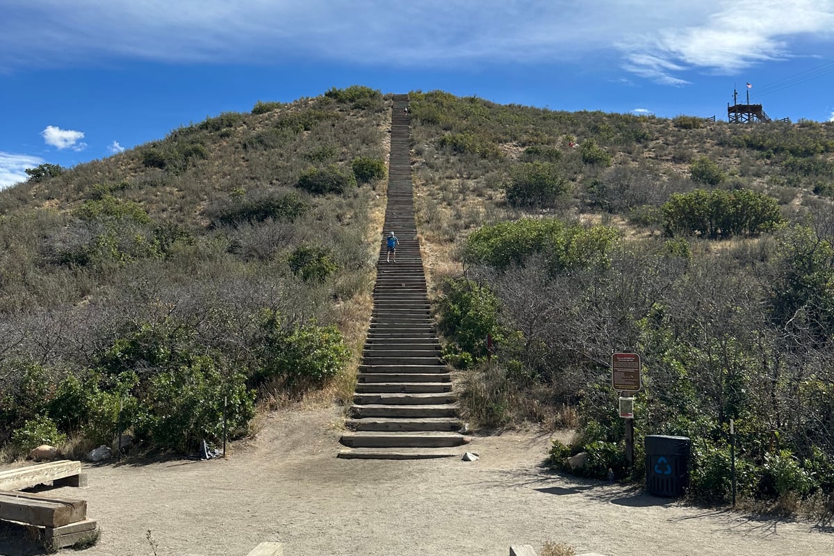 The 200-step Challenge Hill staircase climbing the hillside at Miller Park, with one person near the top
