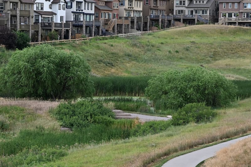 The Hearthfire Pond park in Highlands Ranch, Colorado
