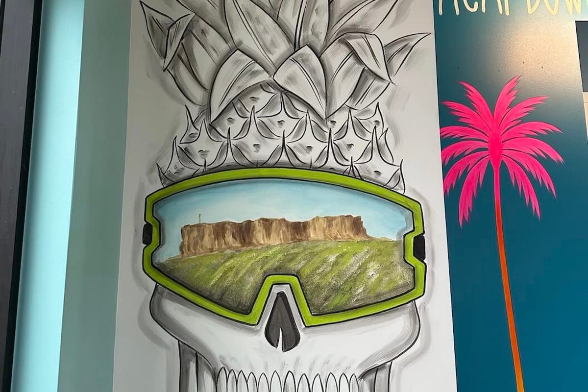 Interior view of Playa Bowls - Castle Rock
