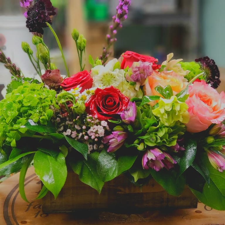 Interior view of Sander Ranch Flowers