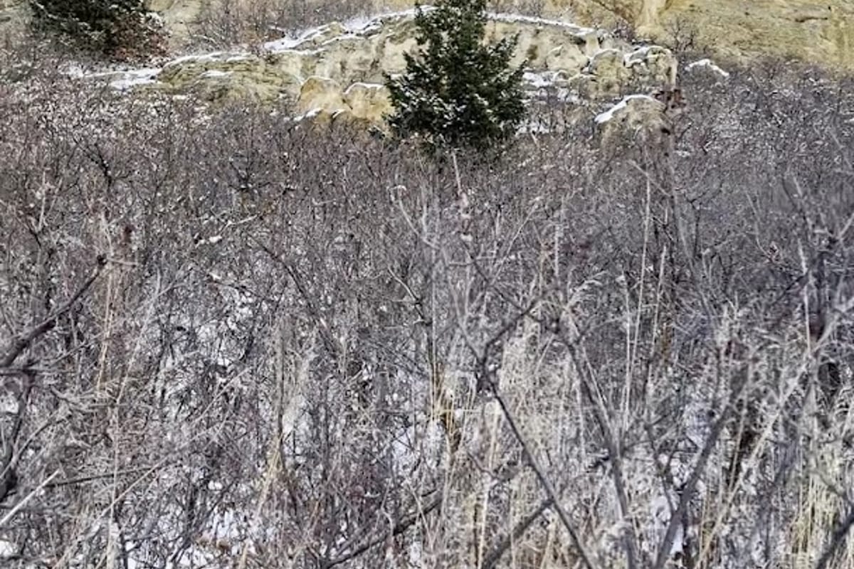 Interior view of South Rim Trail
