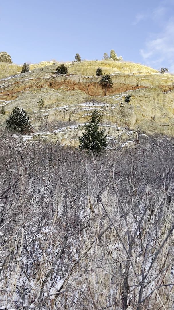 Interior view of South Rim Trail