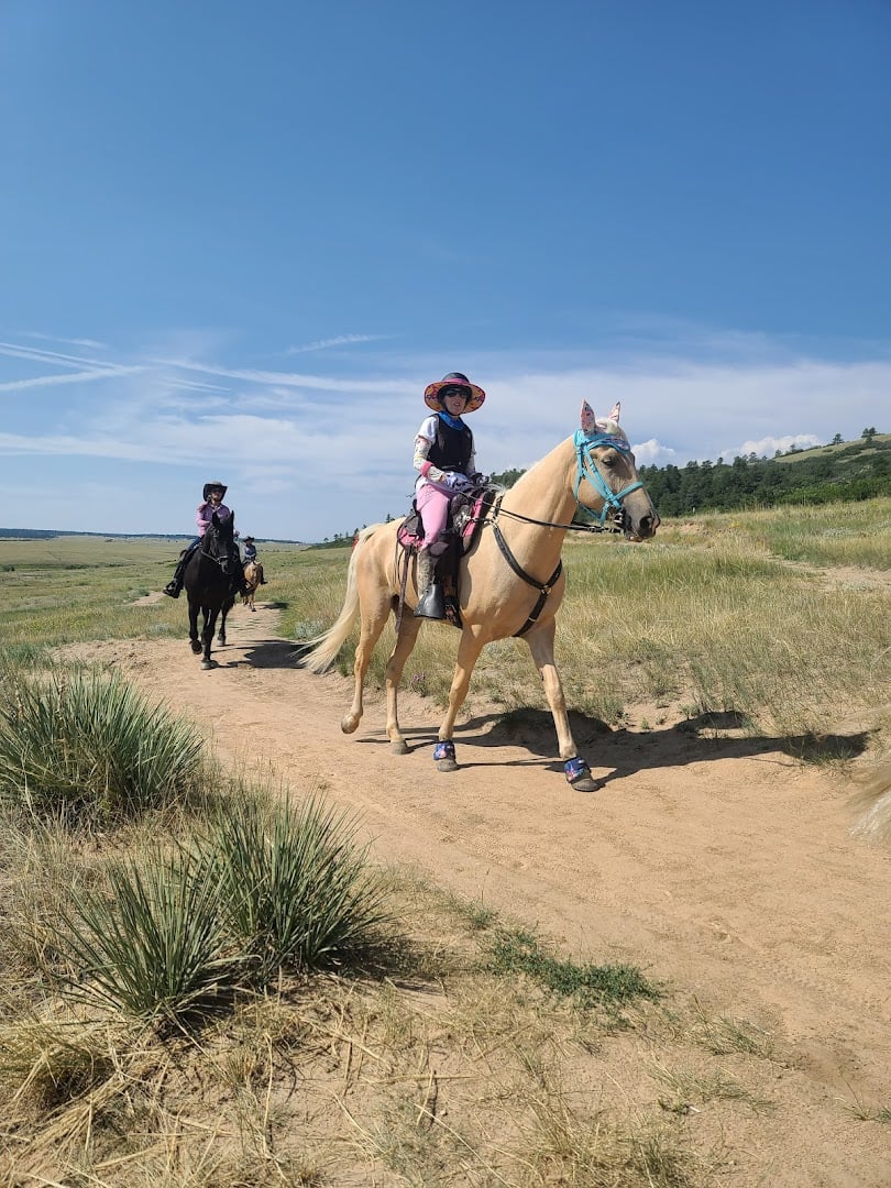 Interior view of Palmer Ranch Divide Trail