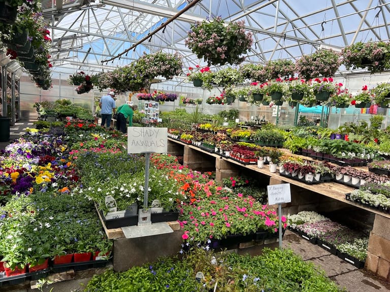 The Gardens Garden Center atmosphere and seating