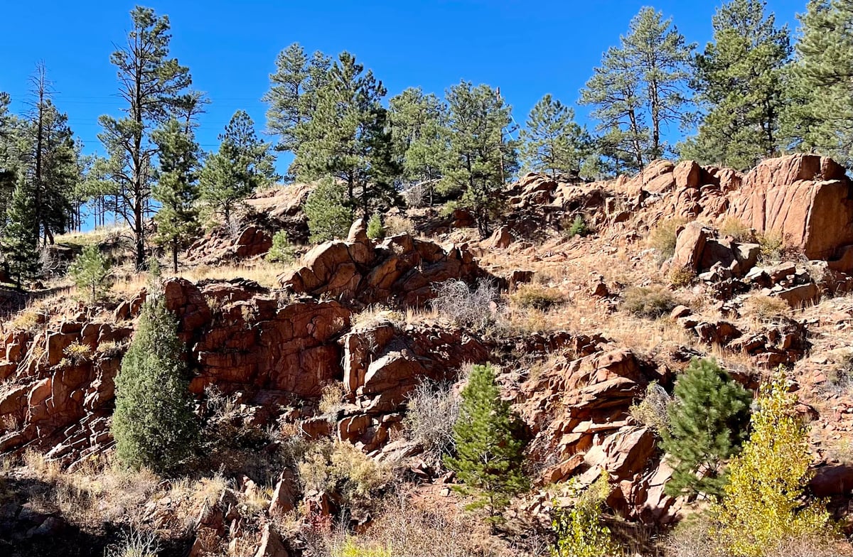 Cheesman Reservoir featured offerings