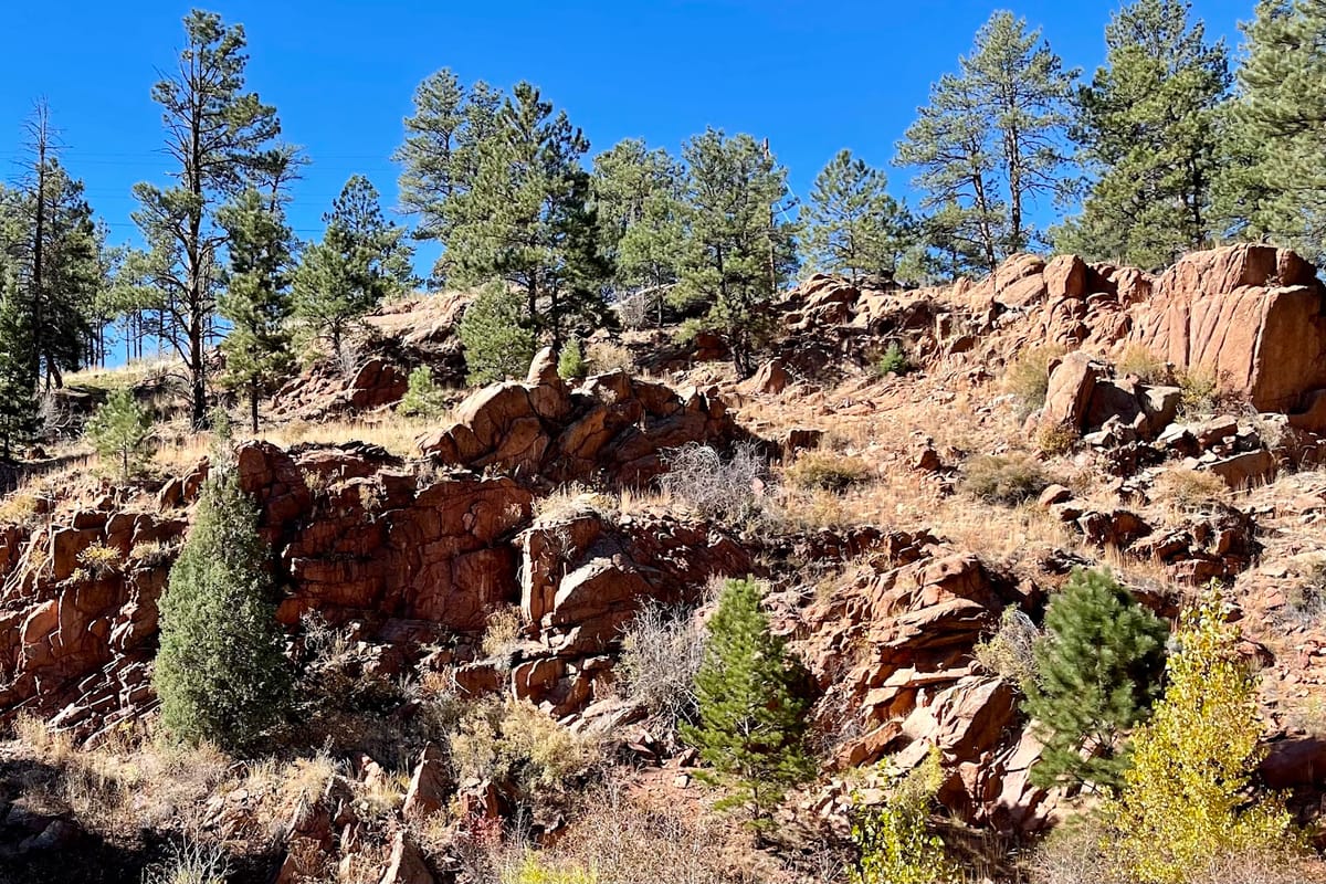 Cheesman Reservoir featured offerings