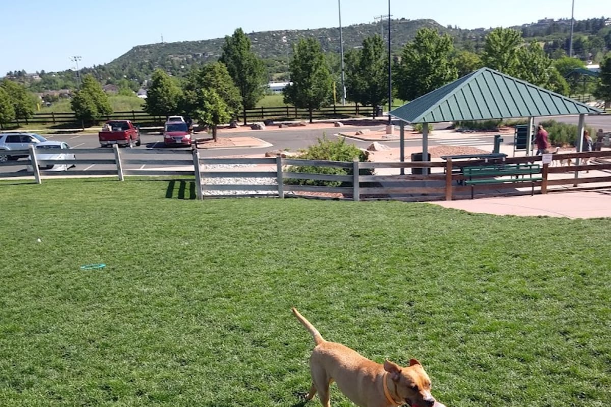 Douglas County Off-leash Area featured offerings