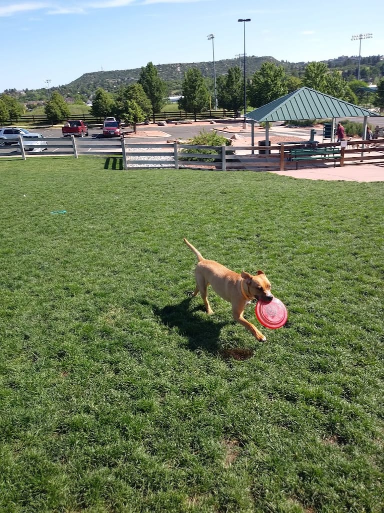 Douglas County Off-leash Area featured offerings