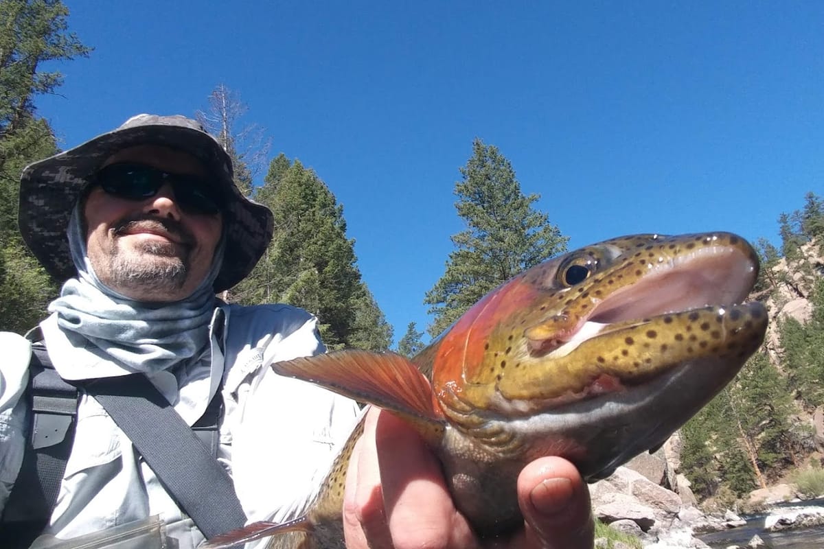 Cheesman Canyon featured offerings