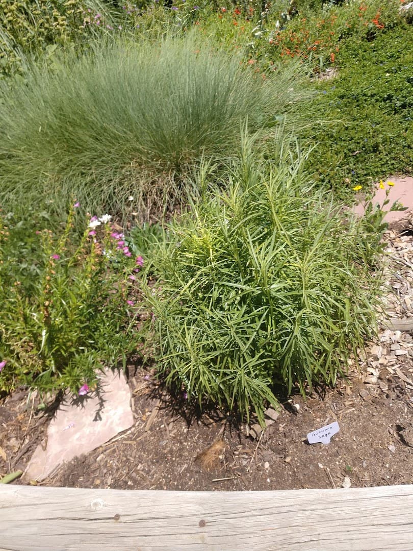 Sedalia Museum and Gardens attraction in Sedalia, Colorado