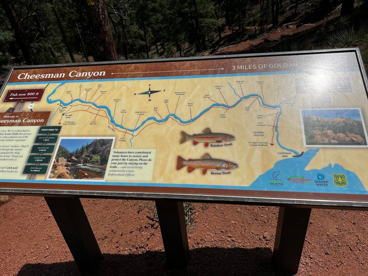 Cheesman Canyon dining area
