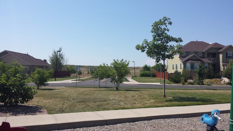 Interior view of Fire Fly Park