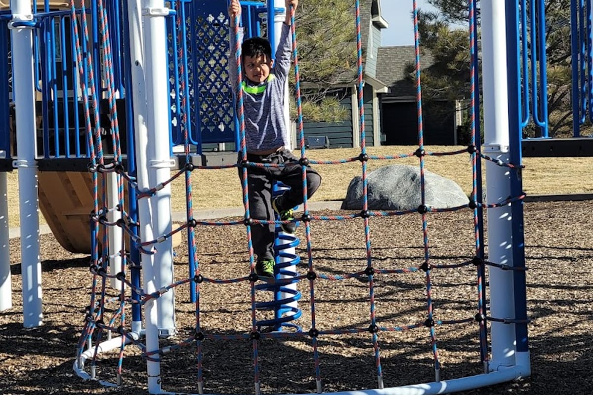 Dove Ridge Park featured offerings