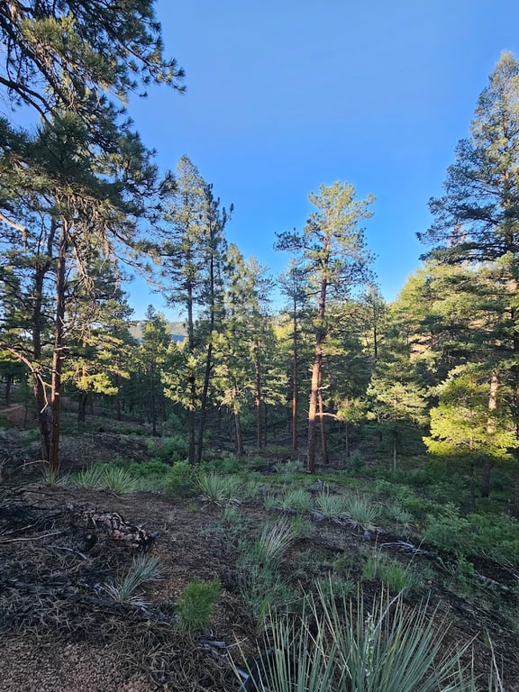 Sugar Creek Lower Trailhead