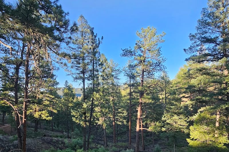 Sugar Creek Lower Trailhead park in Sedalia, Colorado