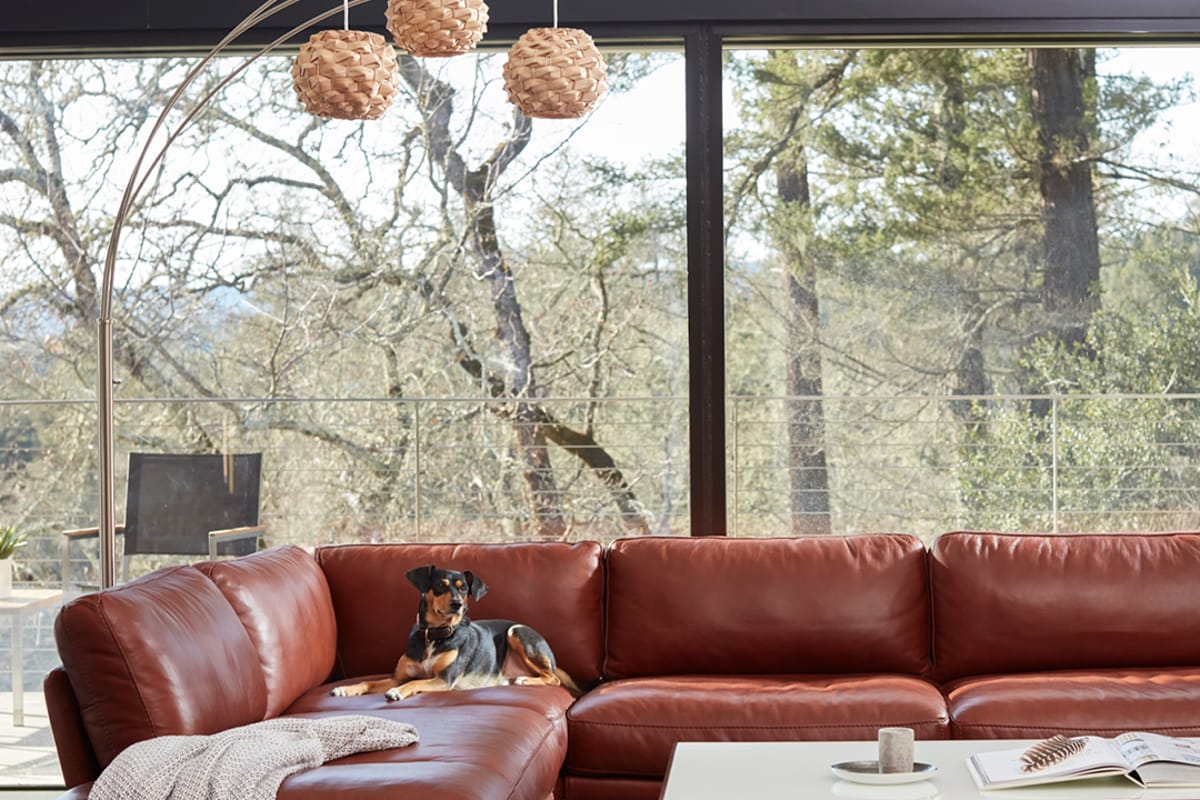 Scandinavian Designs Furniture exterior entrance