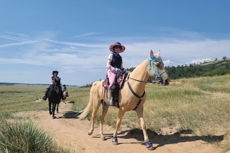 Palmer Ranch Divide Trail park in Larkspur, Colorado