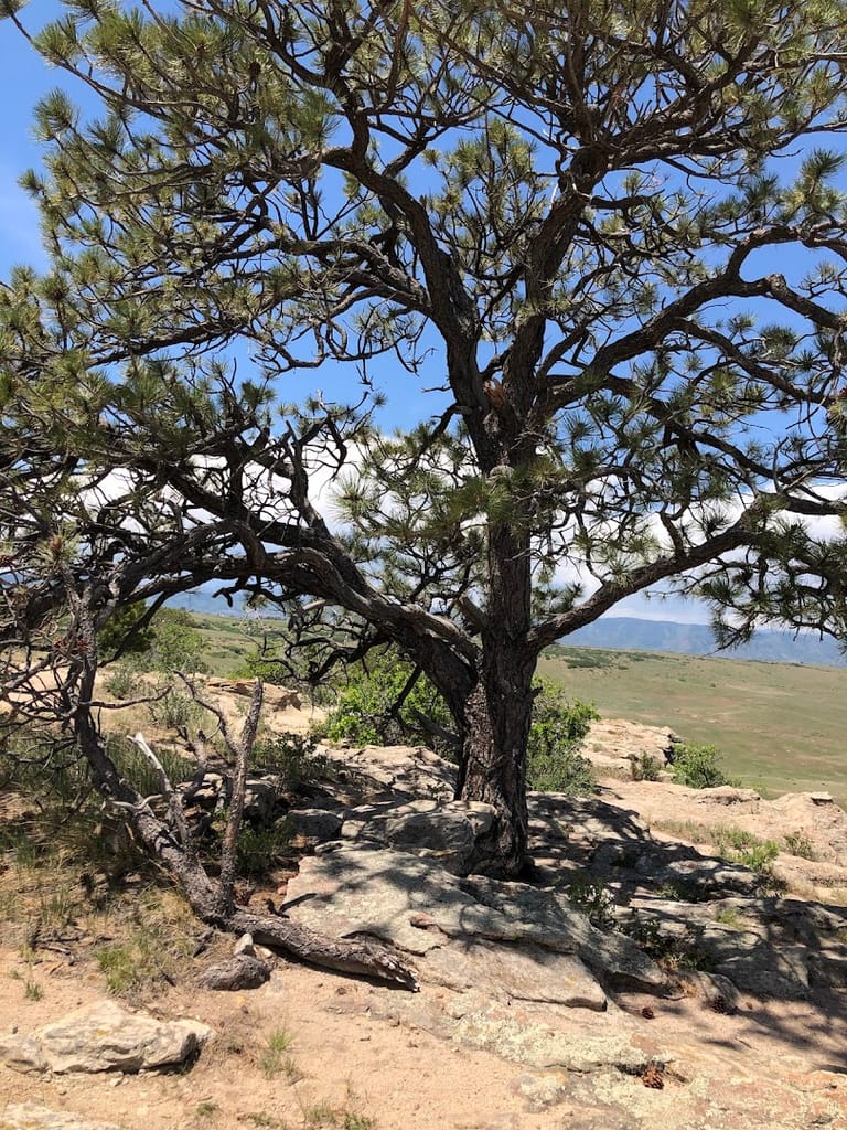 Wildcat Mountain exterior entrance