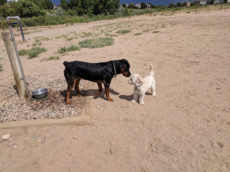 Rover's Run at Redstone Park dining area