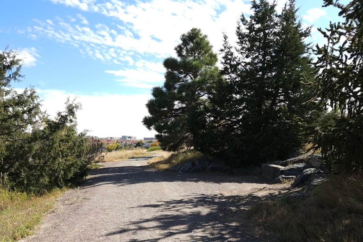 Maximus Trail Park featured offerings