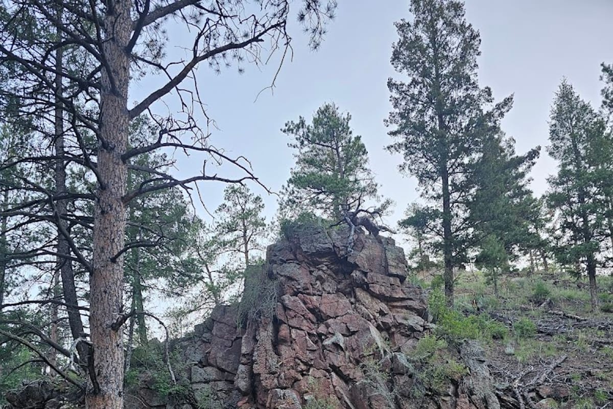 Sugar Creek Lower Trailhead featured offerings