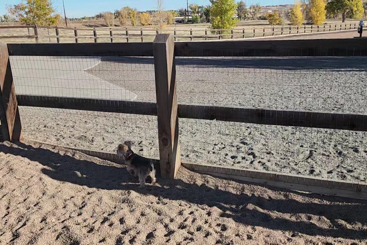 Interior view of USMC CPL David M. Sonka Dog Park