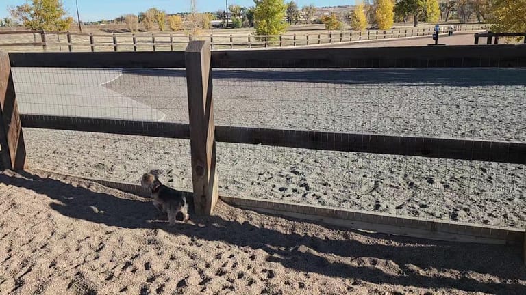 Interior view of USMC CPL David M. Sonka Dog Park