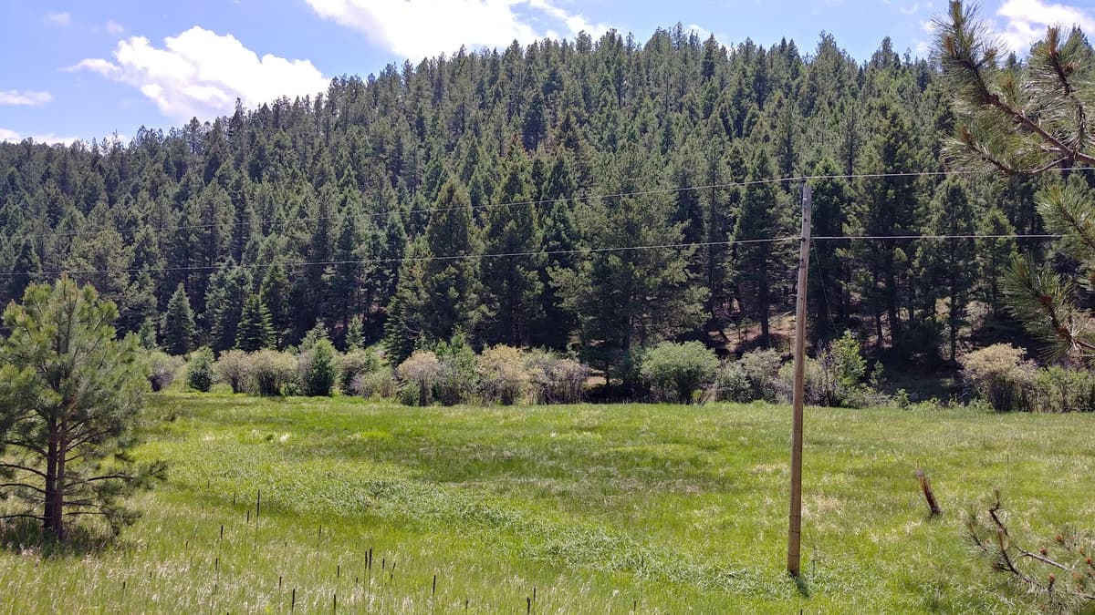 Jackson Creek Ponds park in Sedalia, Colorado