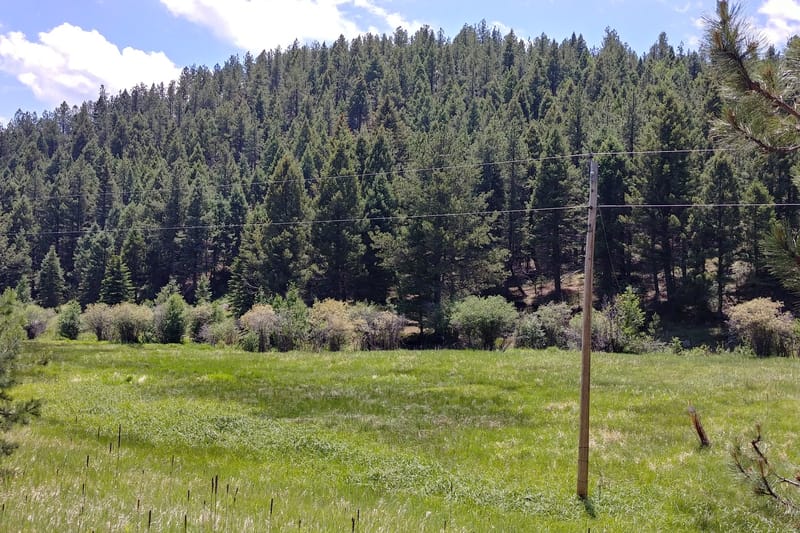 Jackson Creek Ponds park in Sedalia, Colorado