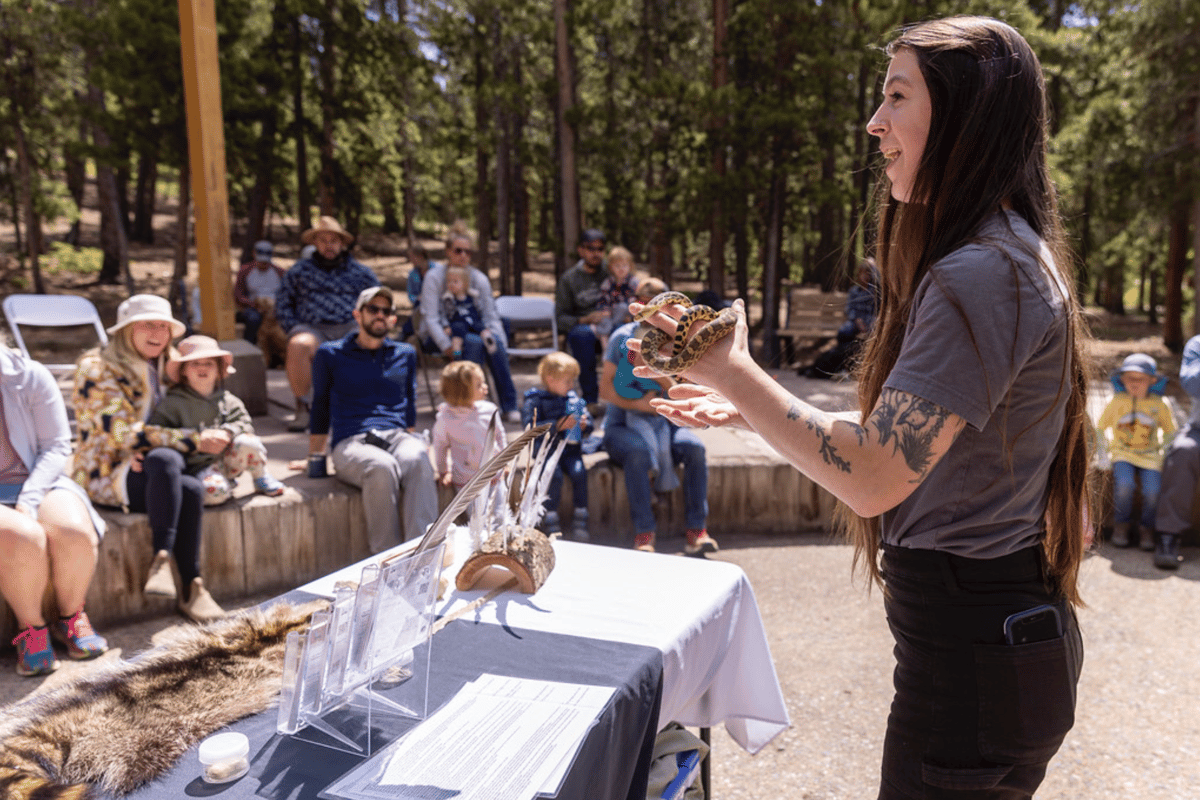 Rocky Mountain Wildlife Alliance photo 2