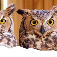 Rocky Mountain Wildlife Alliance — Sedalia wildlife rehab and education center