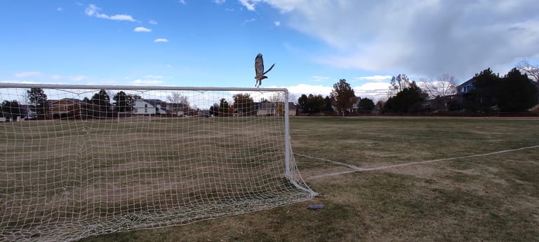 Kline Homestead Park atmosphere and seating