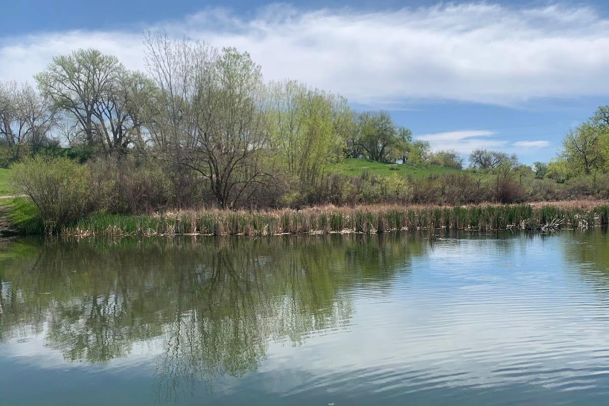 Spring Gulch Pond featured offerings
