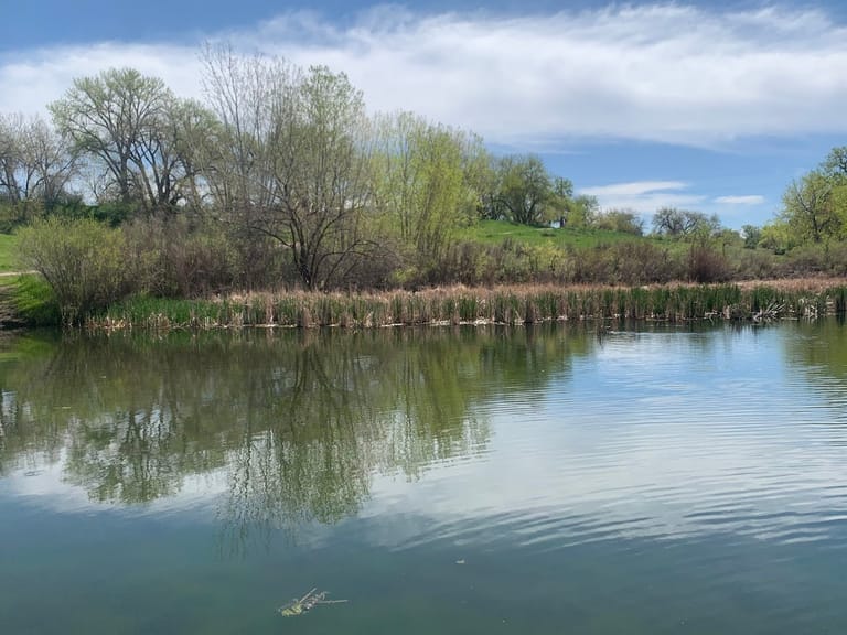 Spring Gulch Pond featured offerings