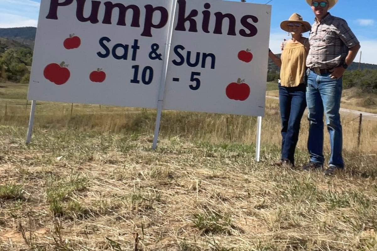 Barnside Pumpkins atmosphere and seating