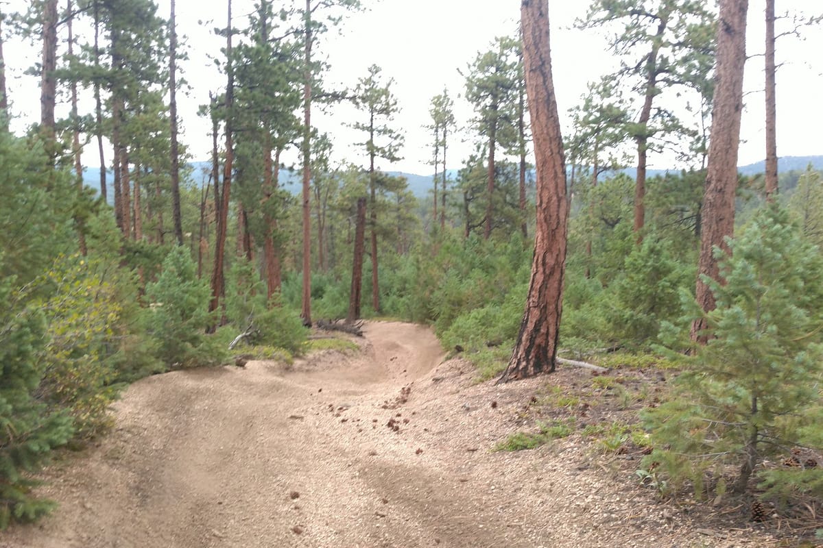 Interior view of Noddles Trailhead, Pike Nat'l Forest