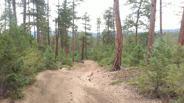 Interior view of Noddles Trailhead, Pike Nat'l Forest