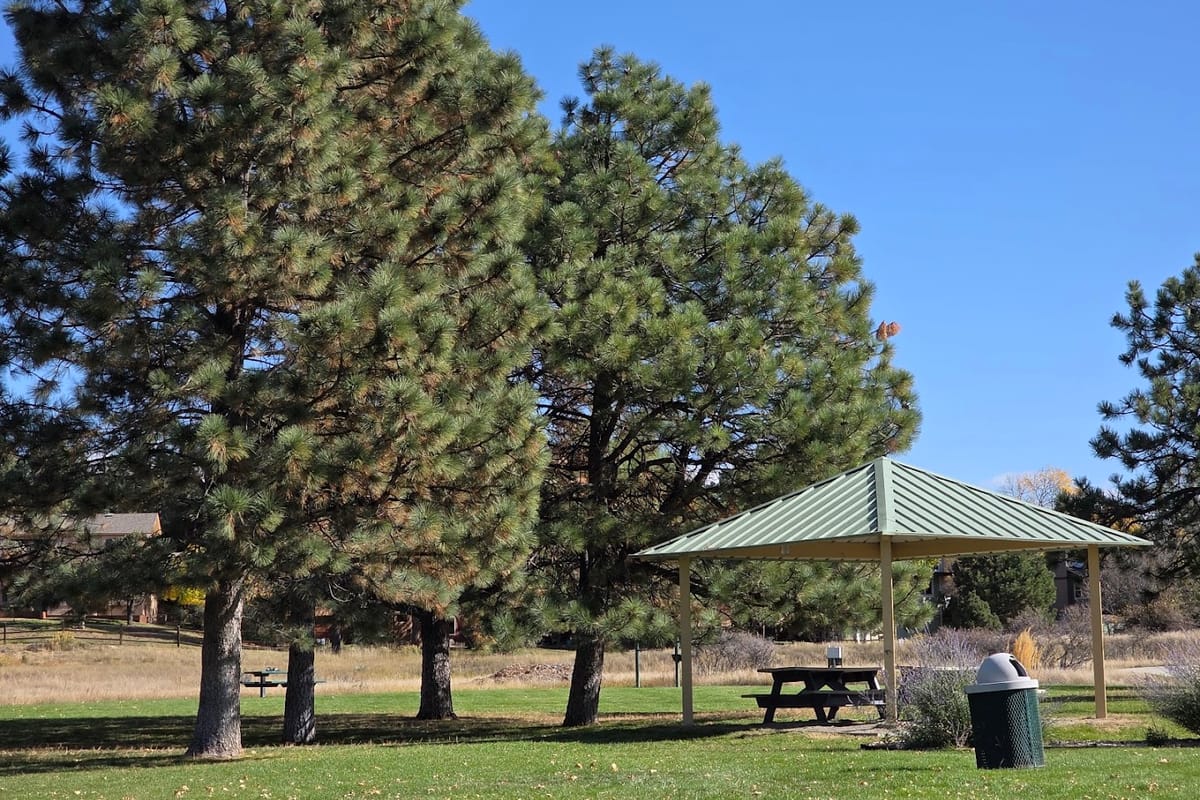 Lakeshore Park dining area