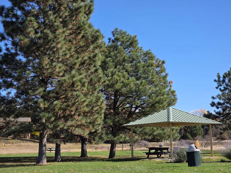 Lakeshore Park dining area