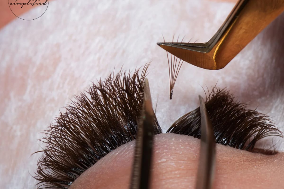 Lash and Company - Parker featured offerings
