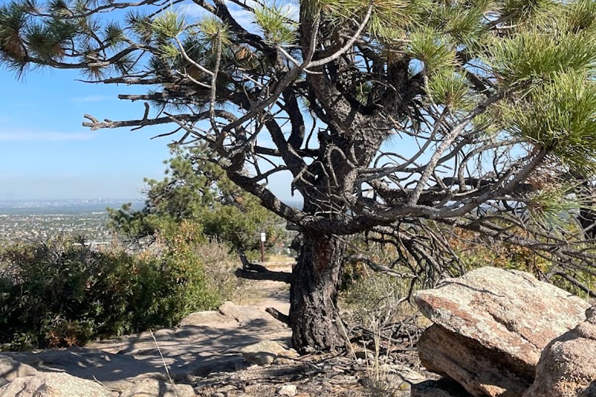 Wildcat Mountain featured offerings