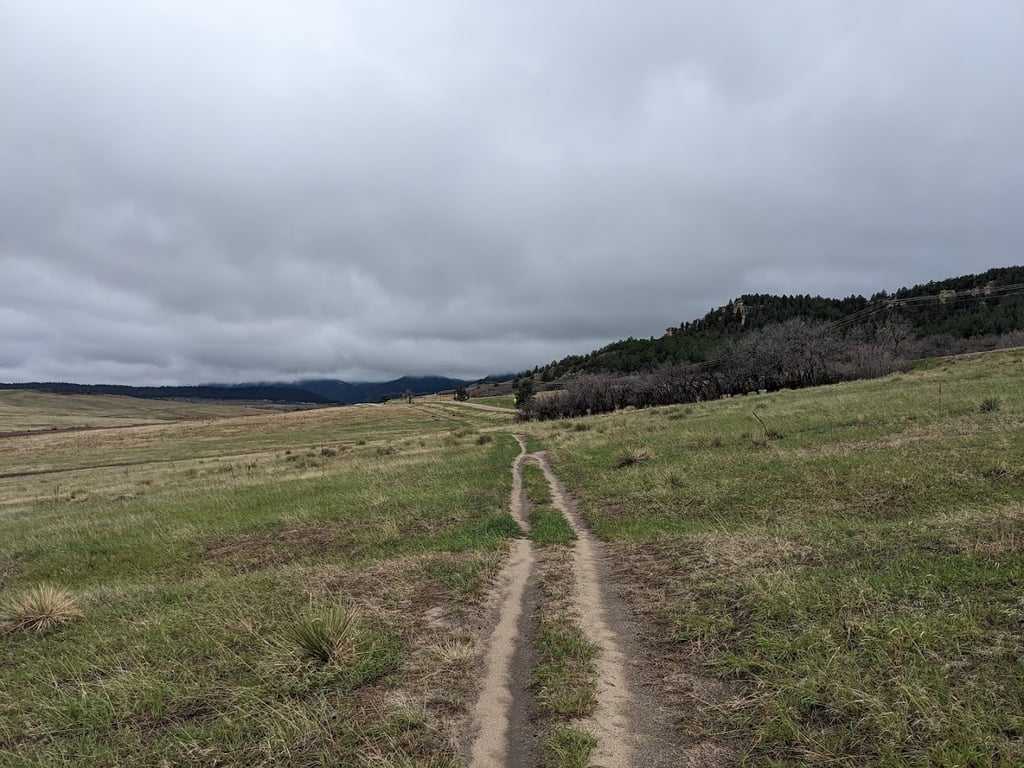 Spruce Meadows Open Space Trailhead