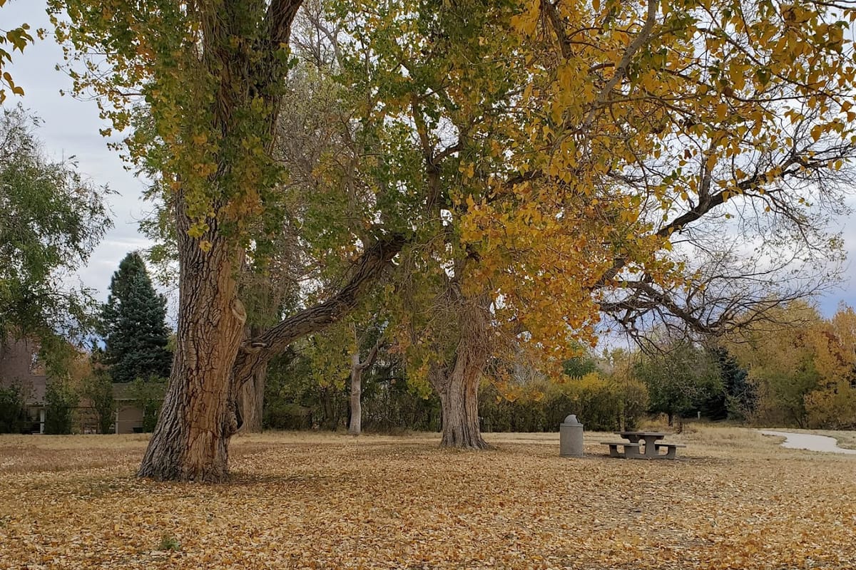 Iron Horse Park dining area