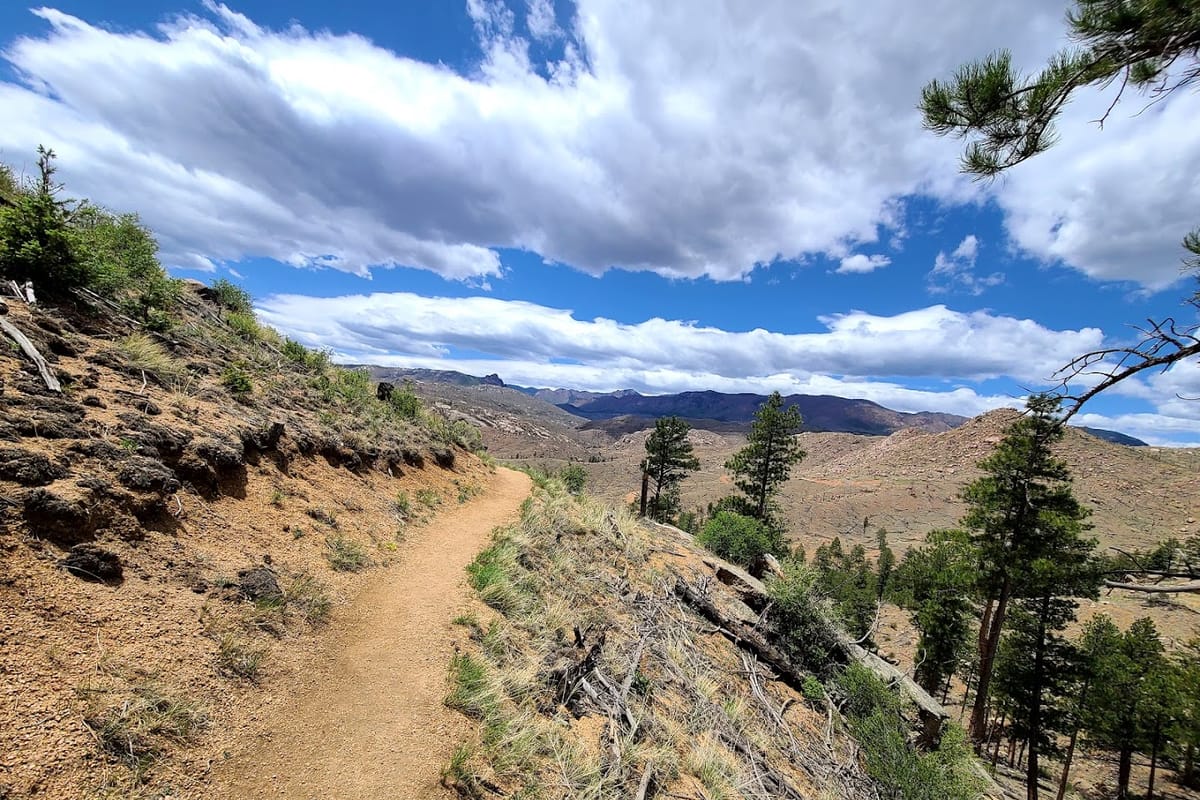 Upper Cheesman Canyon Trailhead featured offerings