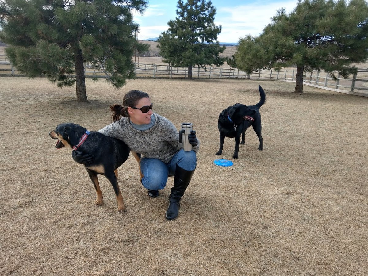 Bayou Gulch Dog Park featured offerings